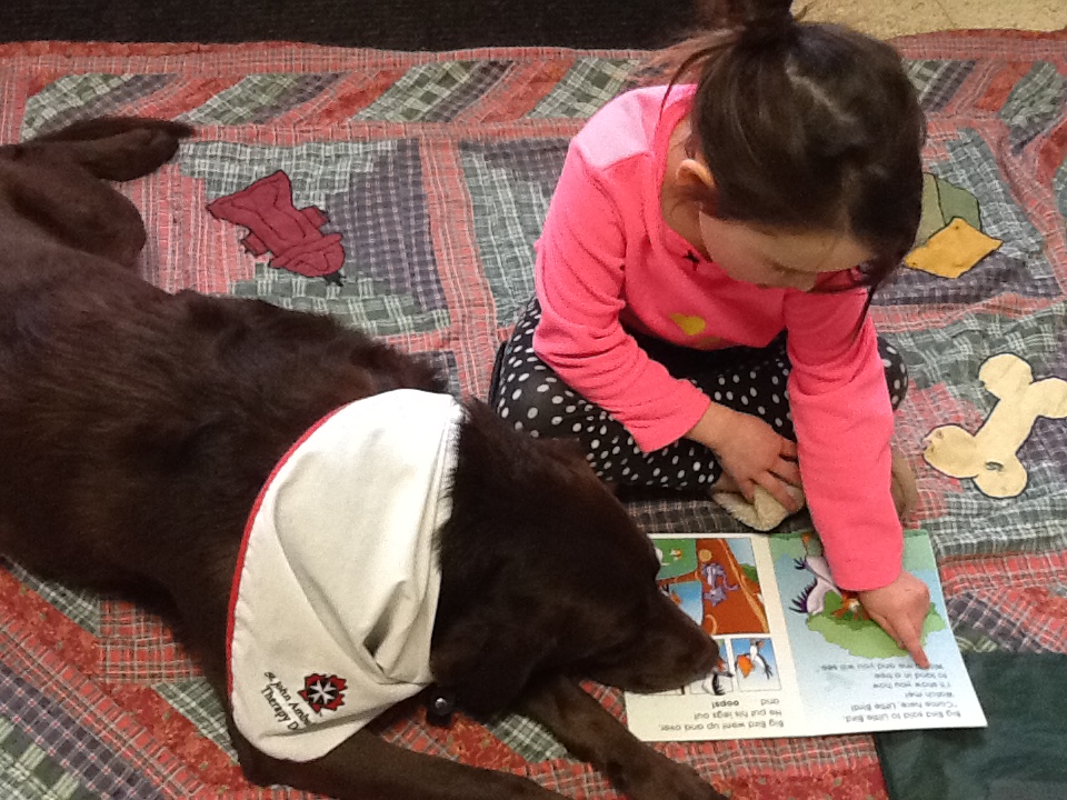 Grade 1 student reading to Zoe Therapy Dog